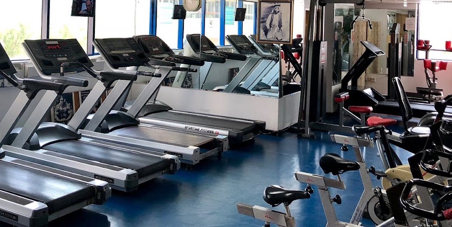 Top Gym