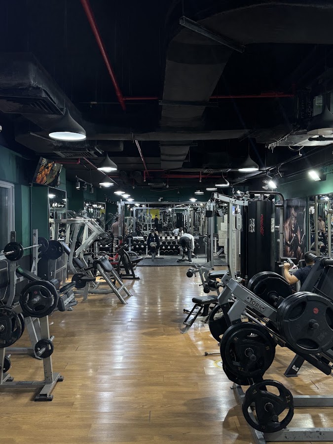 Fitzone GYM