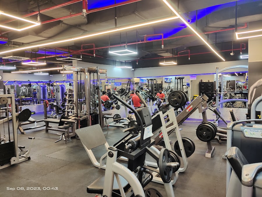Power Conquest GYM