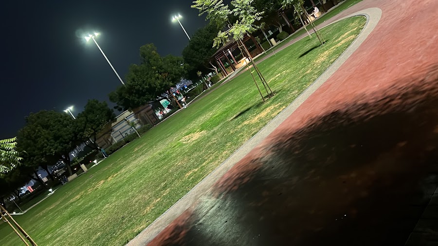Delma Park Tennis Court