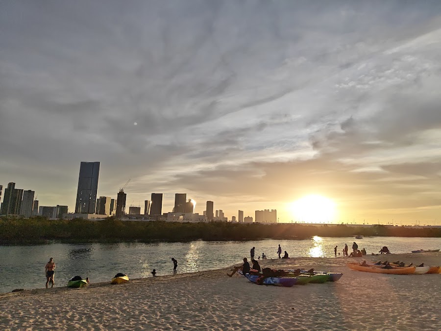 Reem Island Mangrove Forest