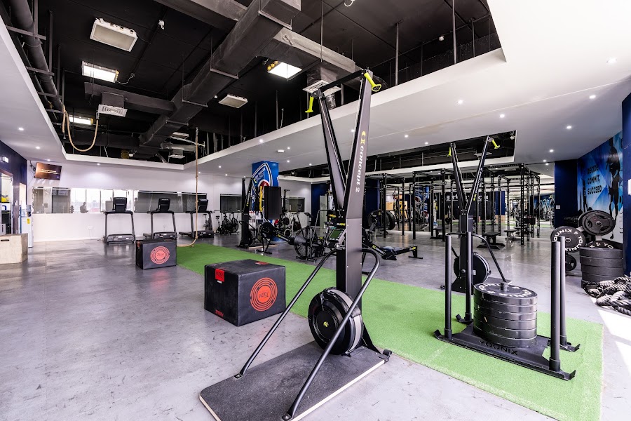 Bodyline Gym