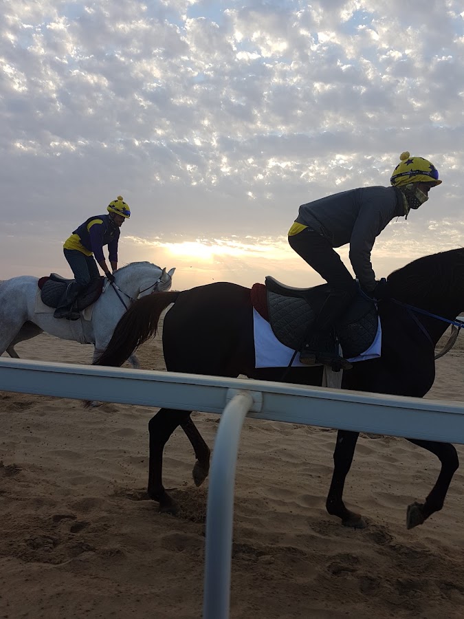 AL Shahama Racing Stable