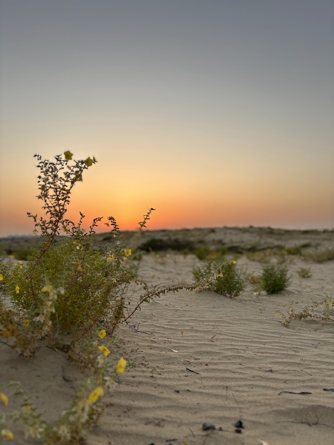 Sunset point
