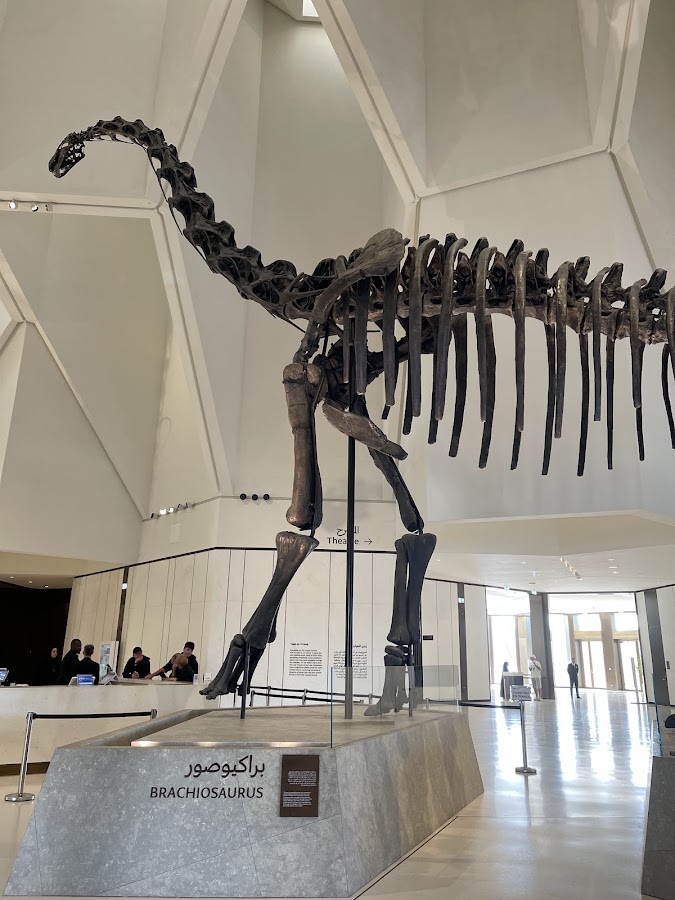 Natural History Museum Abu Dhabi