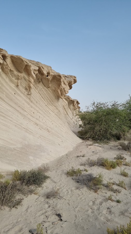 صخور احفورية