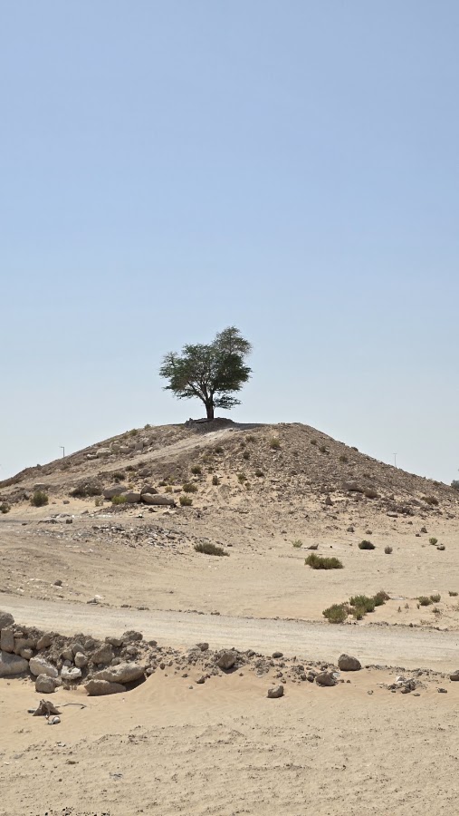 Ghaaf تلة الغافه