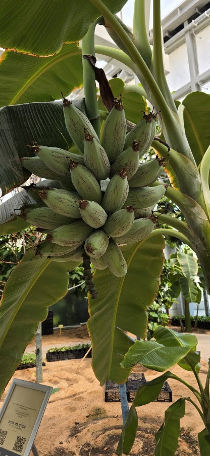 حديقة المواسم Farm