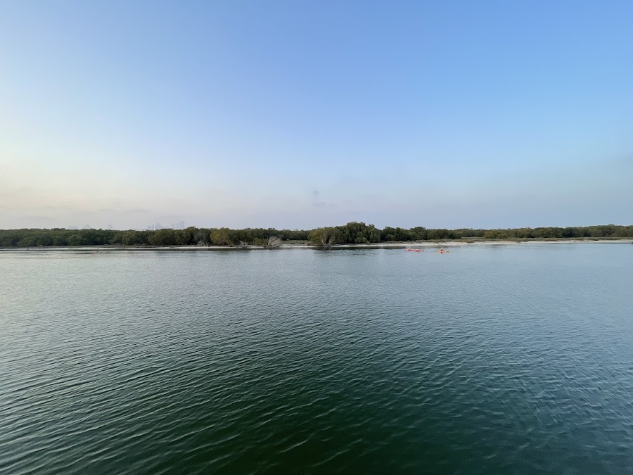 Eastern Mangrove Park