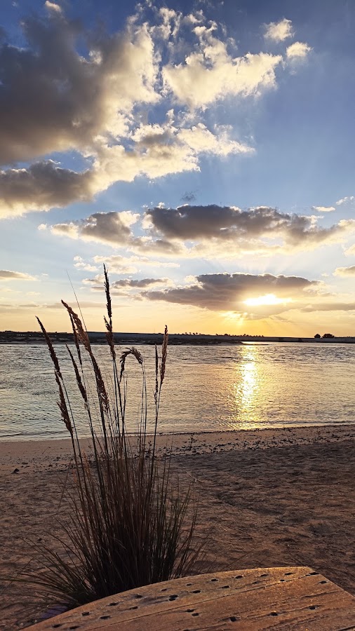 Salinity park