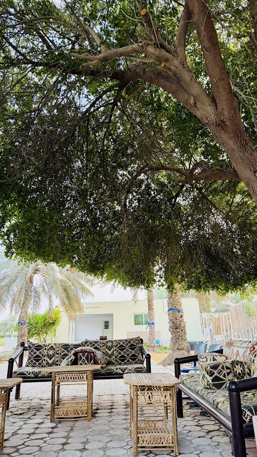 مزرعة محمود يوسف الحمادى