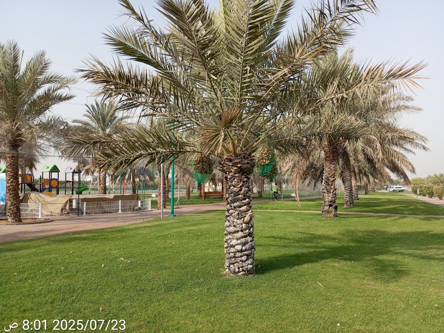 حديقة النباتات المحلية (ممشي عشارج )