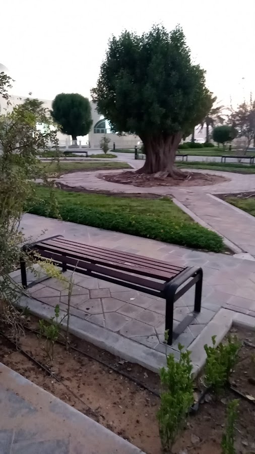 حديقة