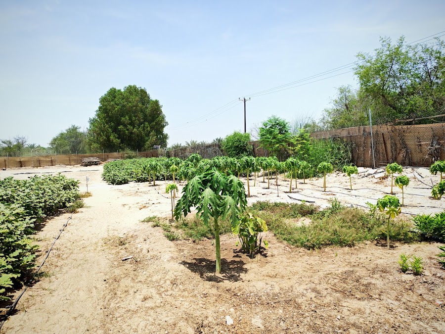 Fast zone farm