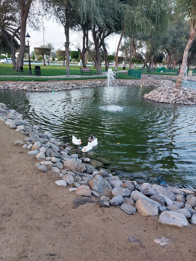 Al Boom Park - حديقة البوم