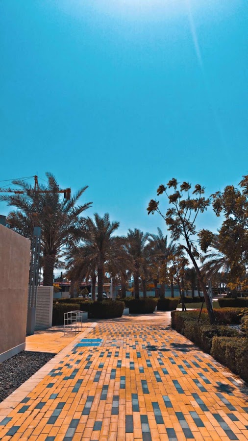 The Sands