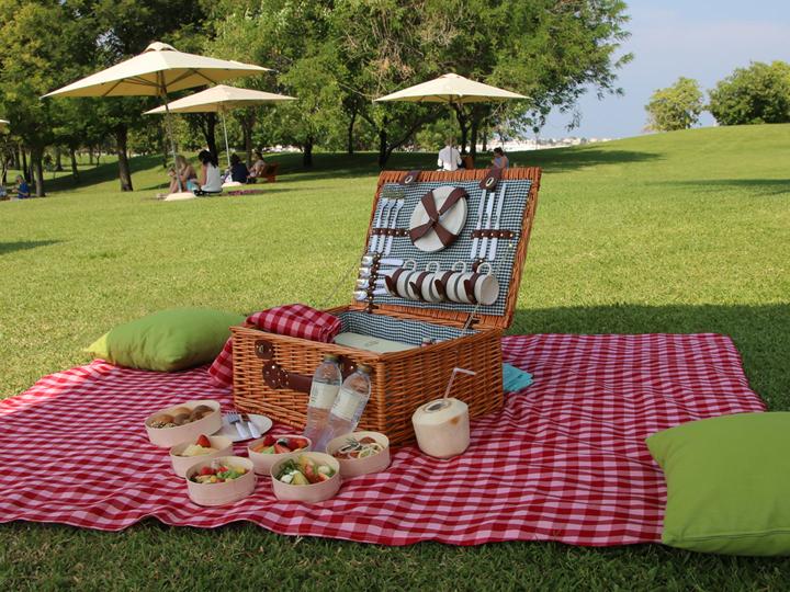 Picnic At The Palace