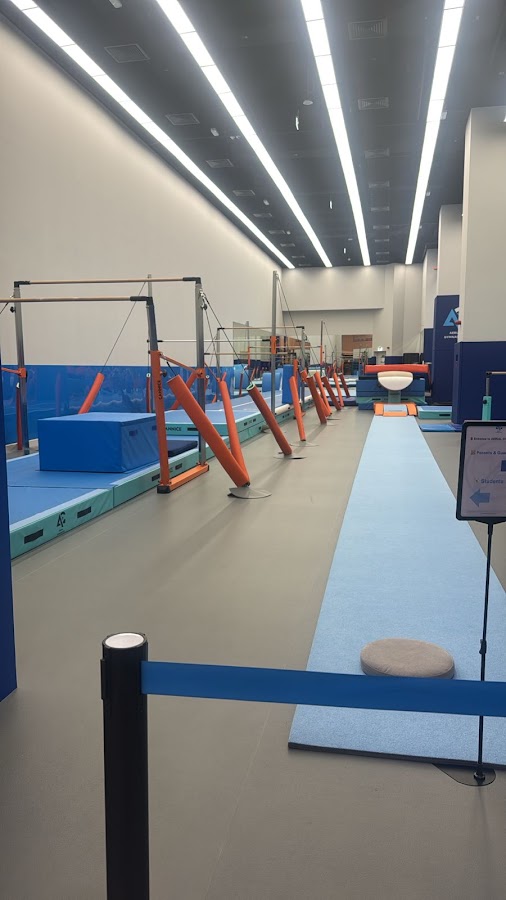 Aerial Gymnastics Academy