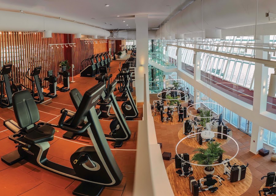 THE BRIDGE | Wellness Hub