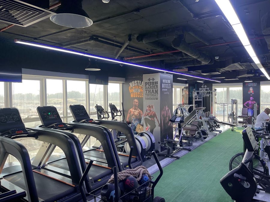 Crash Gym
