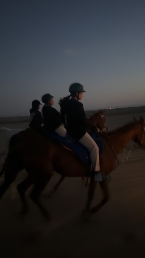جمعية الواهو الإماراتي
