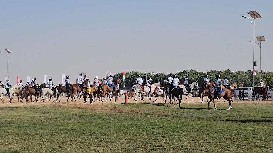 قرية الامارات العالمية للقدرة