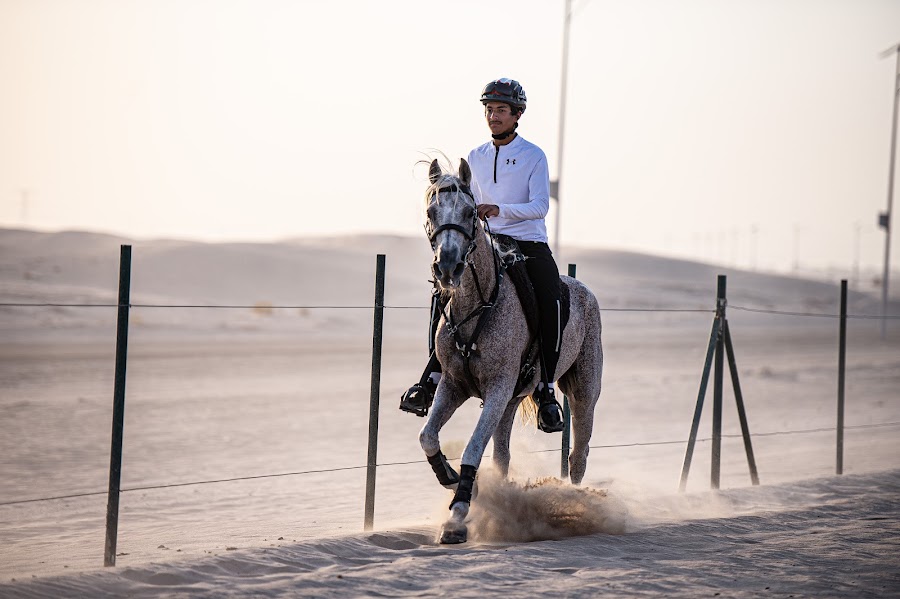 SHS Stable Al Wathba