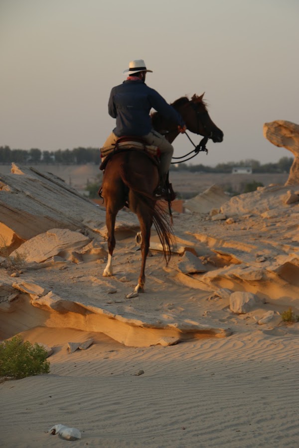 ALYASAT STUD مربط الياسات