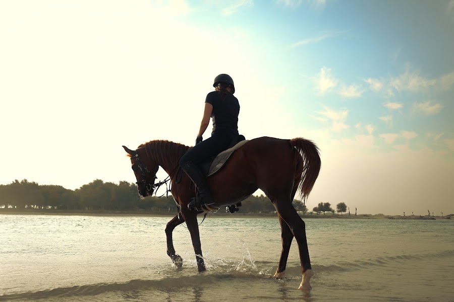Sanam Stable