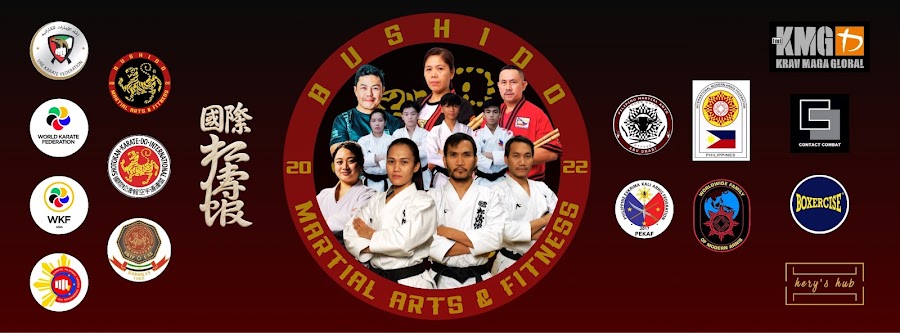 Bushido Martial Arts and Fitness