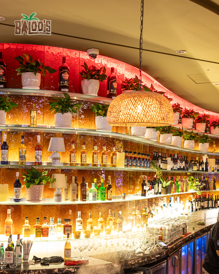 Baloo's Social Bar and Grill