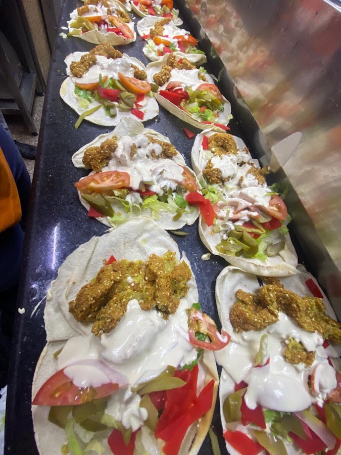 Malik Alfalafel