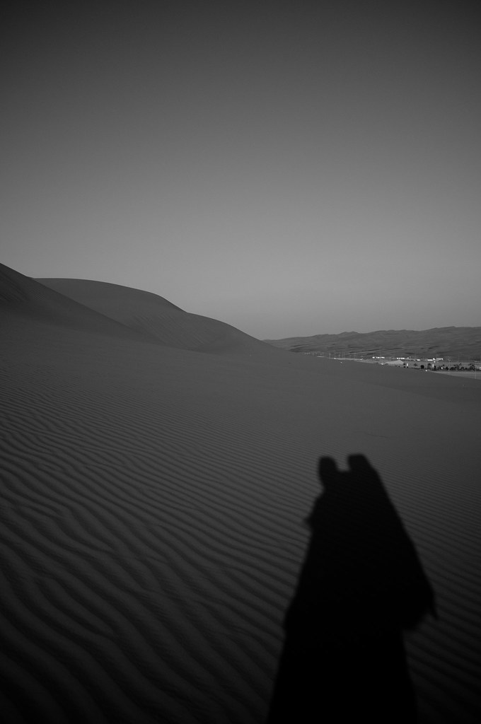Liwa desert