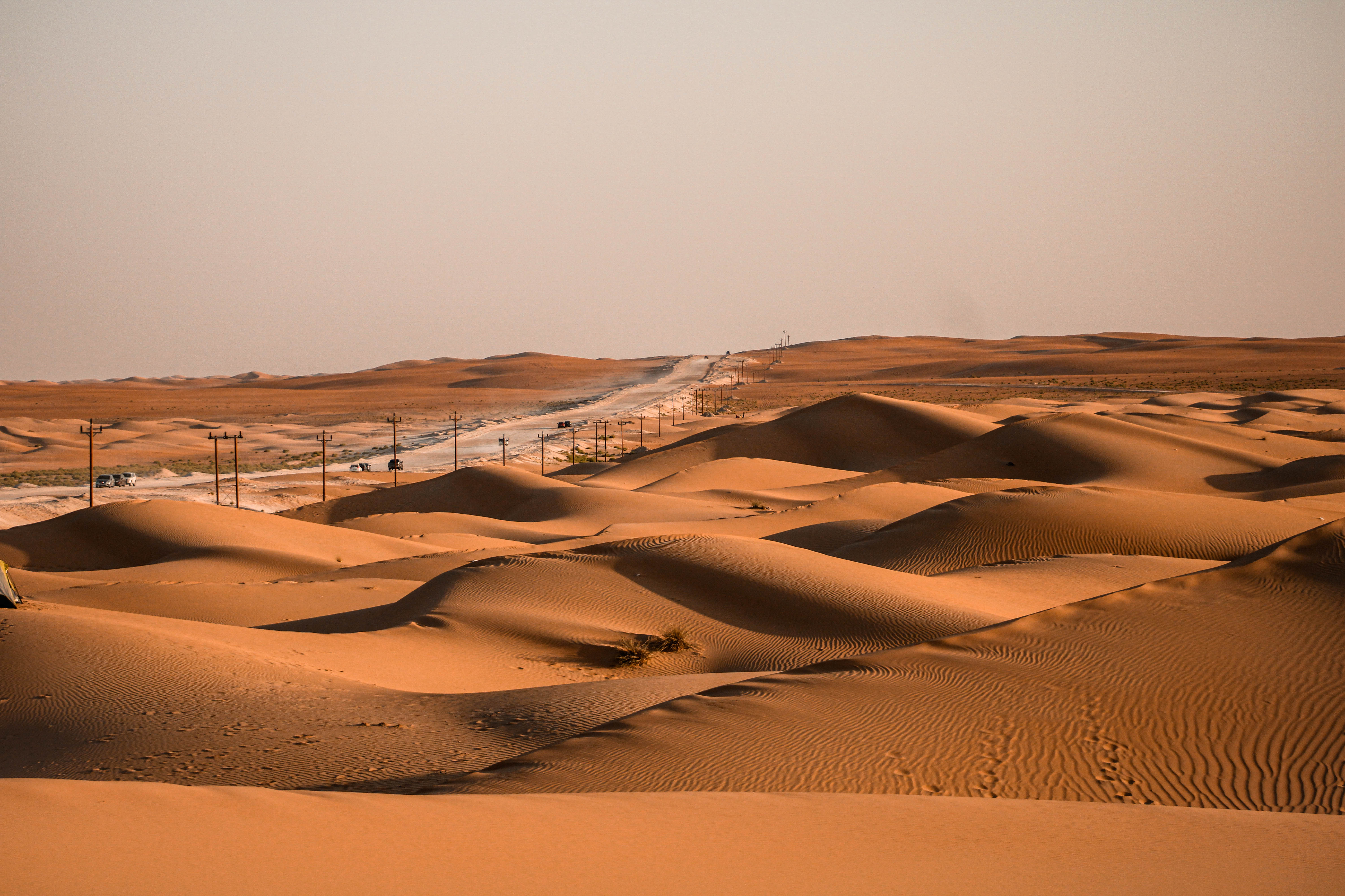 Razeen desert